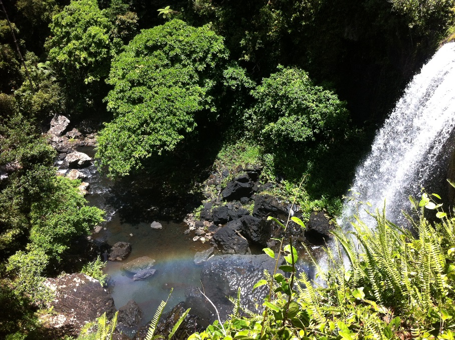 Waterfall Circuit in the Atherton Tablelands (100km south of Cairns, Queensland)
